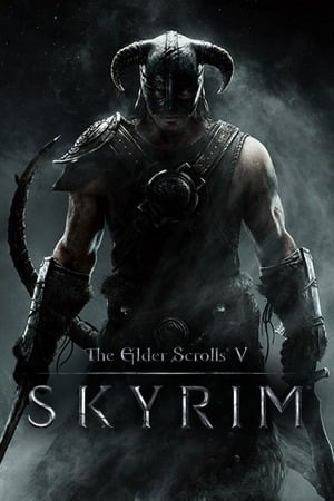 The Elder Scrolls V Skyrim