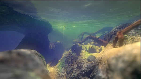 Feed and Grow Fish screenshot 3