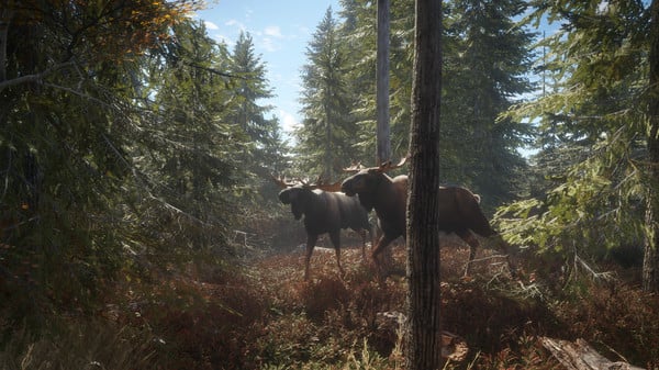 The Hunter: Call of the Wild screenshot 4