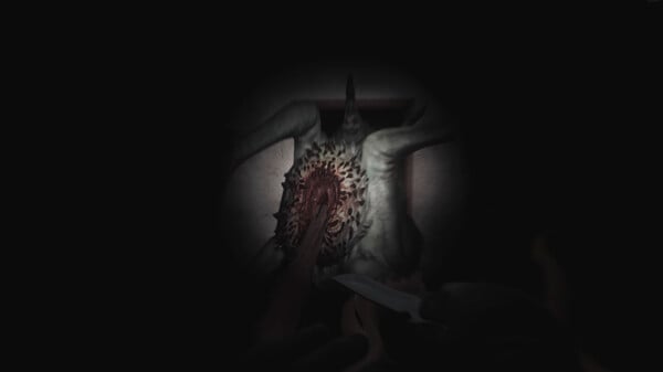 SCP 5K screenshot 4