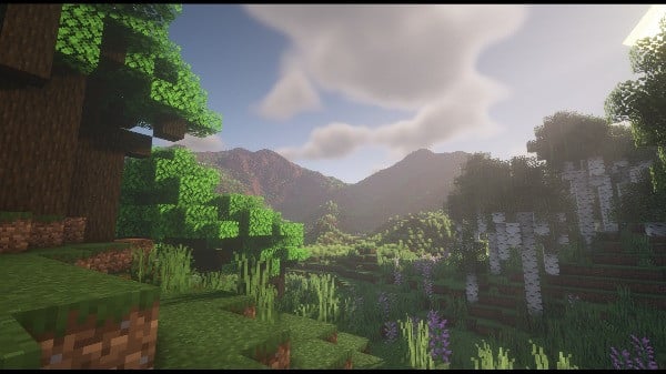Minecraft screenshot 2