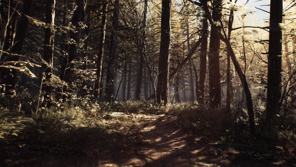 Blair Witch screenshot 4