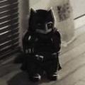 darkndum